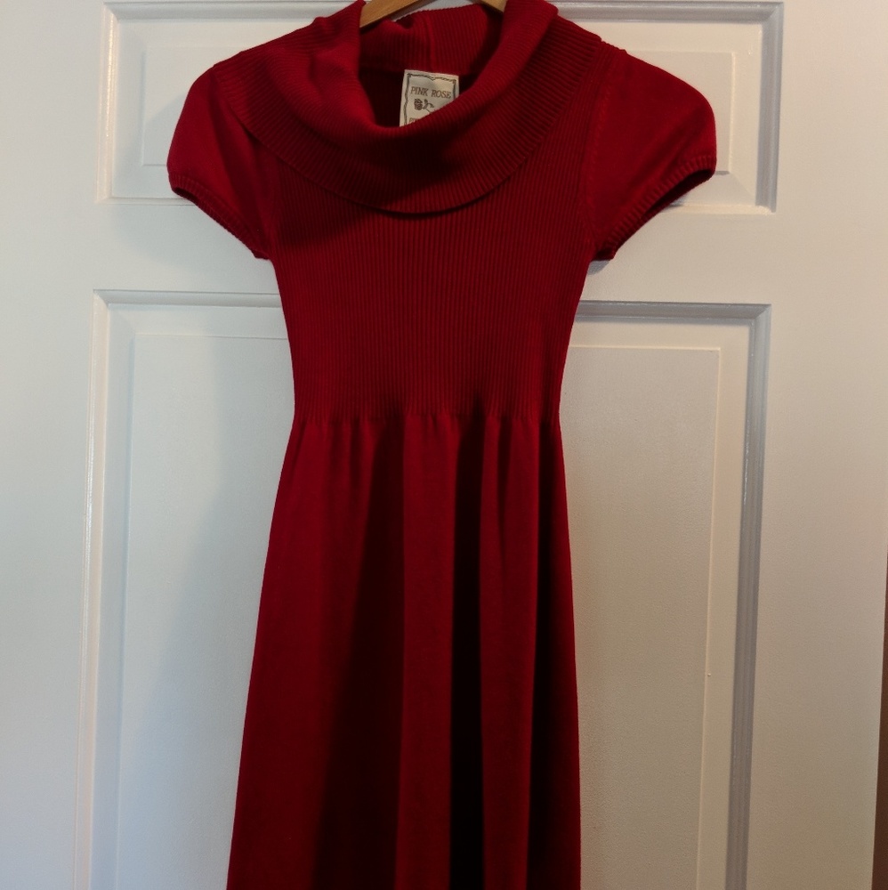 Cranberry turtleneck dress